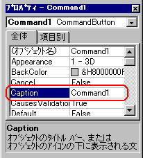 Caption ̕ύX