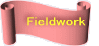 Fieldwork